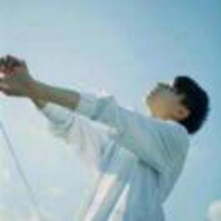 树洞先生