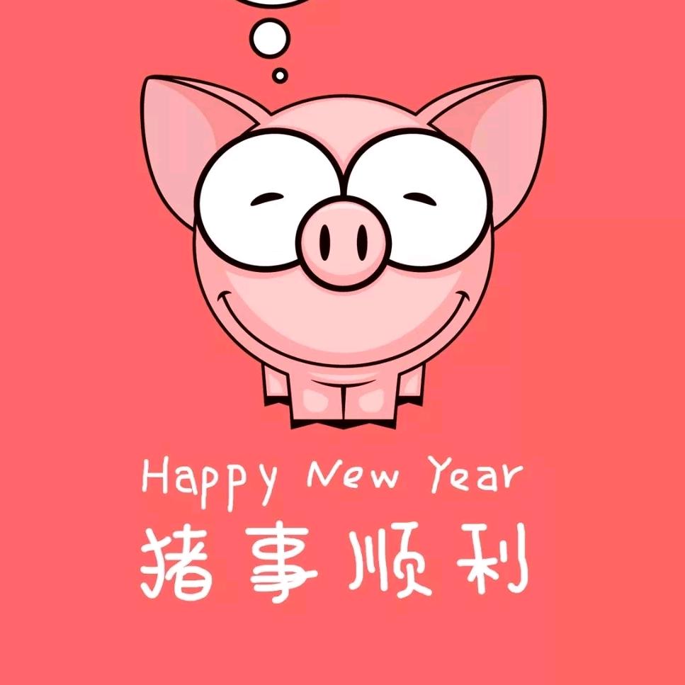 疯狂的小猪