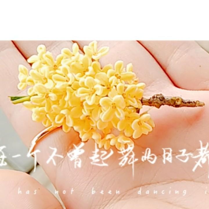 阿朱