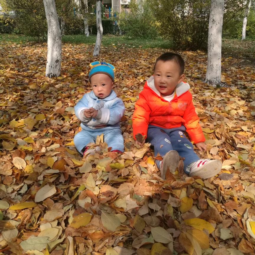 @小玩(๑><๑）童