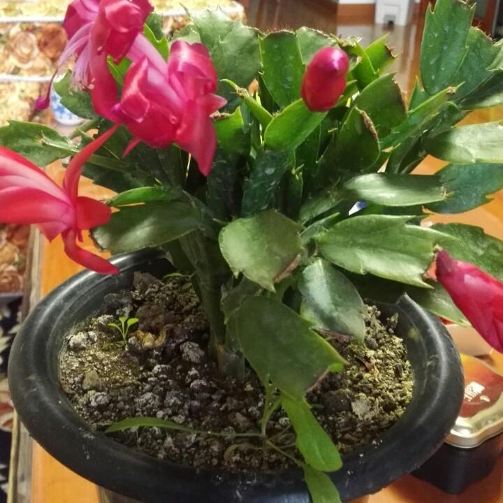 守望幸福😂᭄