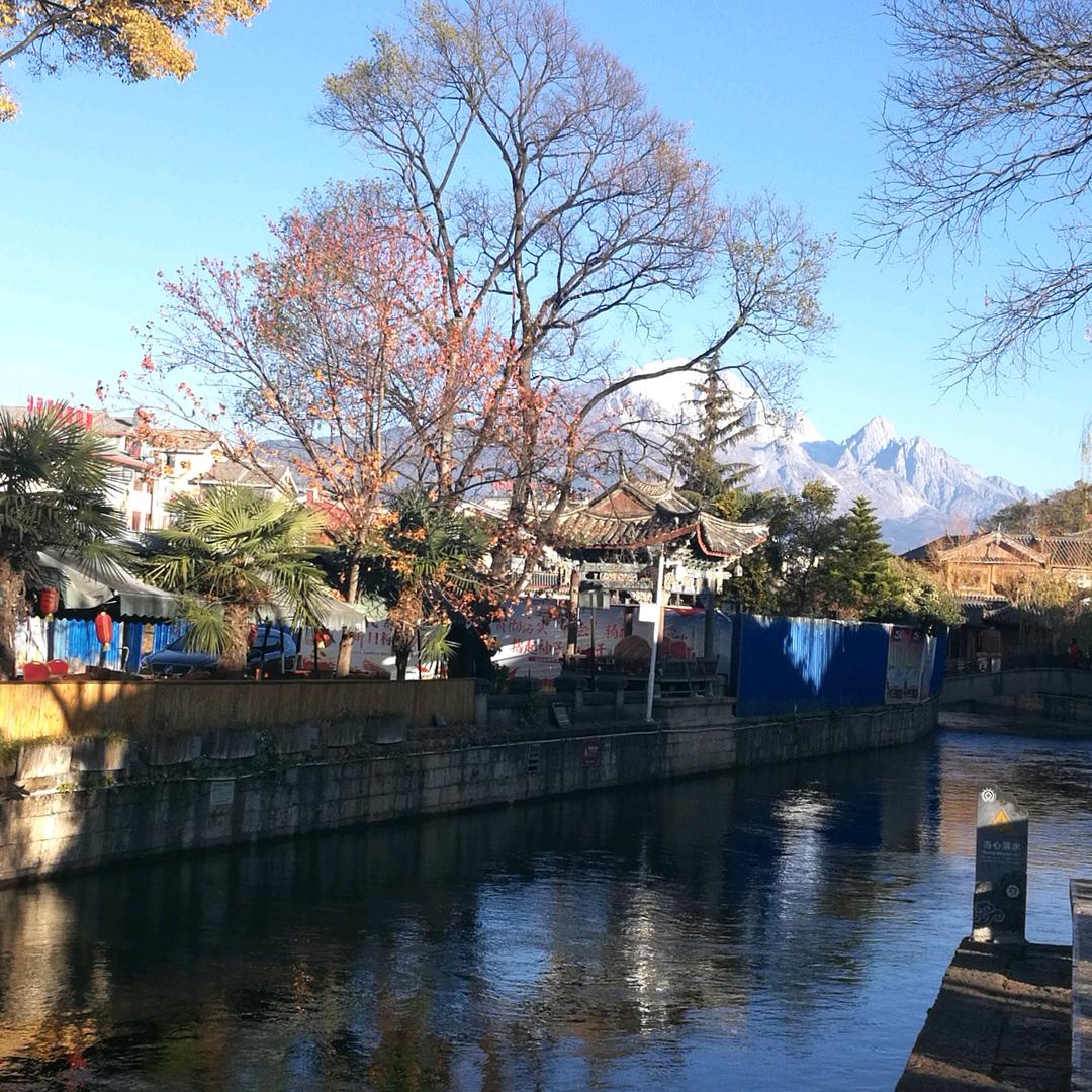 不爱红装爱武装