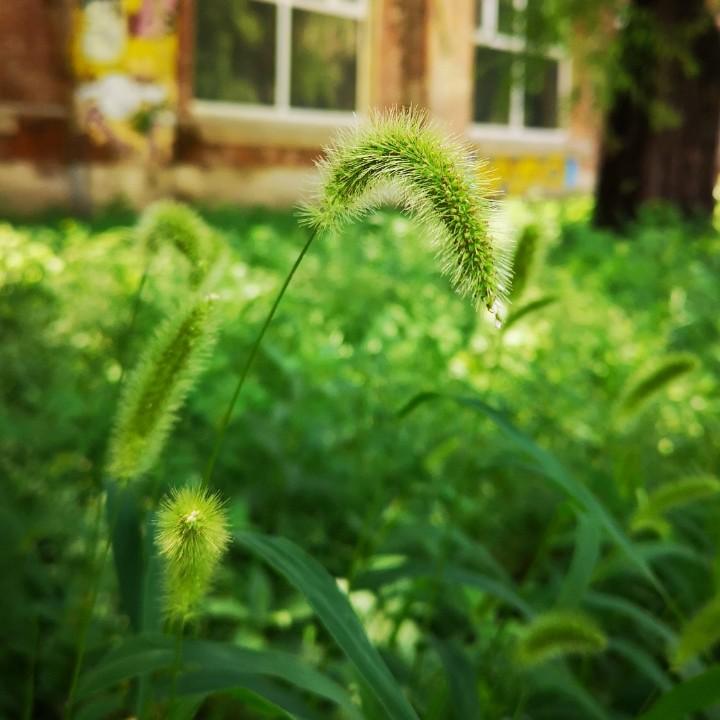 🌻富瑶🐳