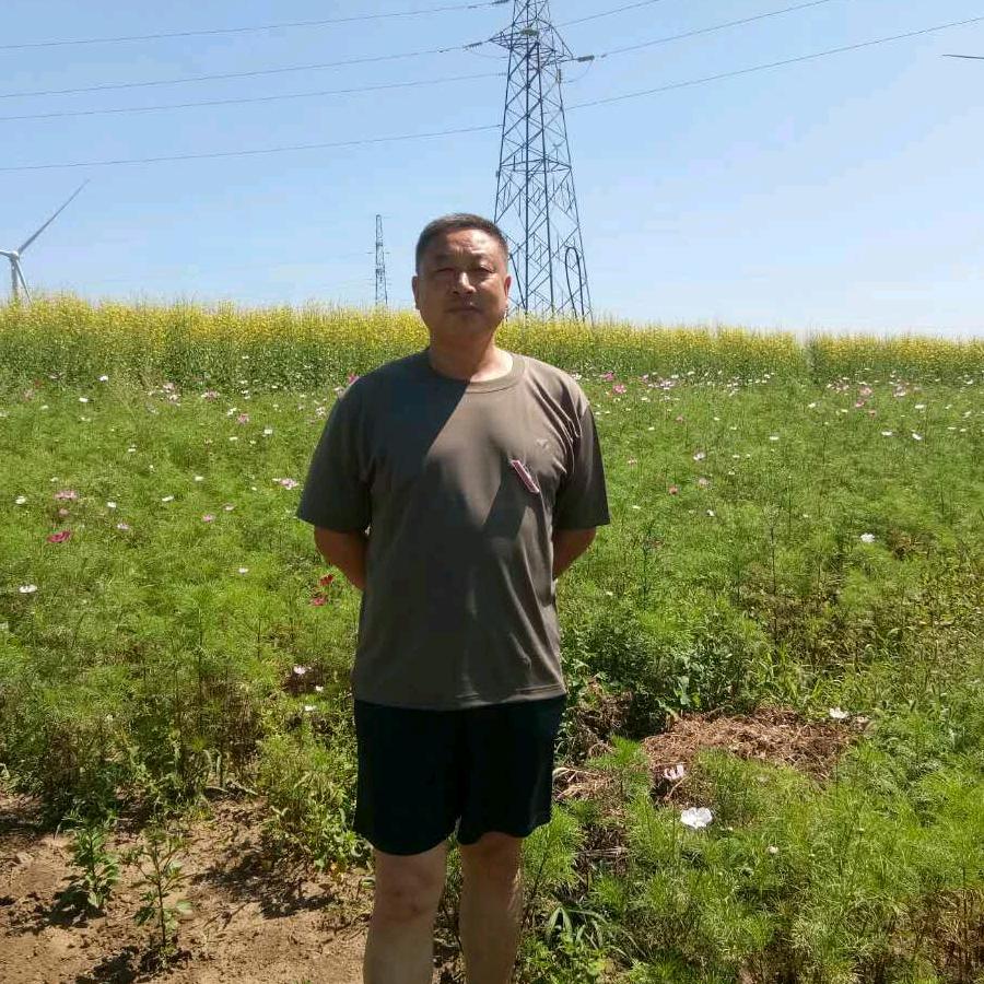快乐就幸福