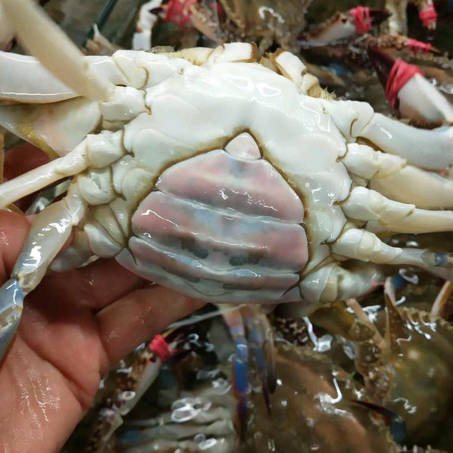 东港小胖海鲜水产
