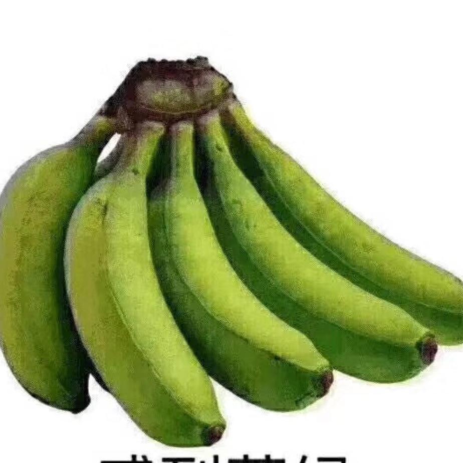 张同学