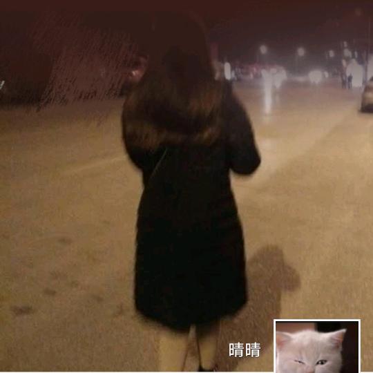 易碎的玻璃娃娃