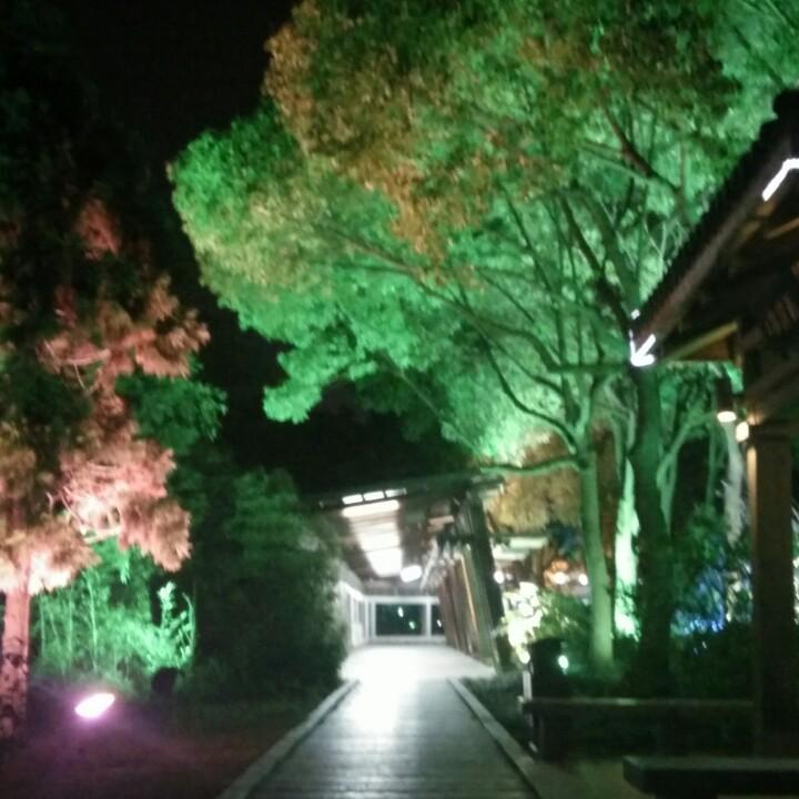 缘分 🔥