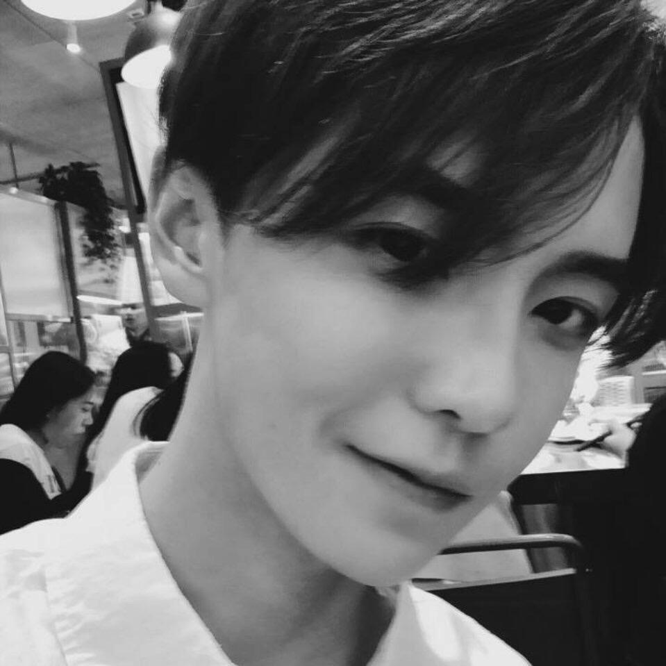 白茶清欢无别事