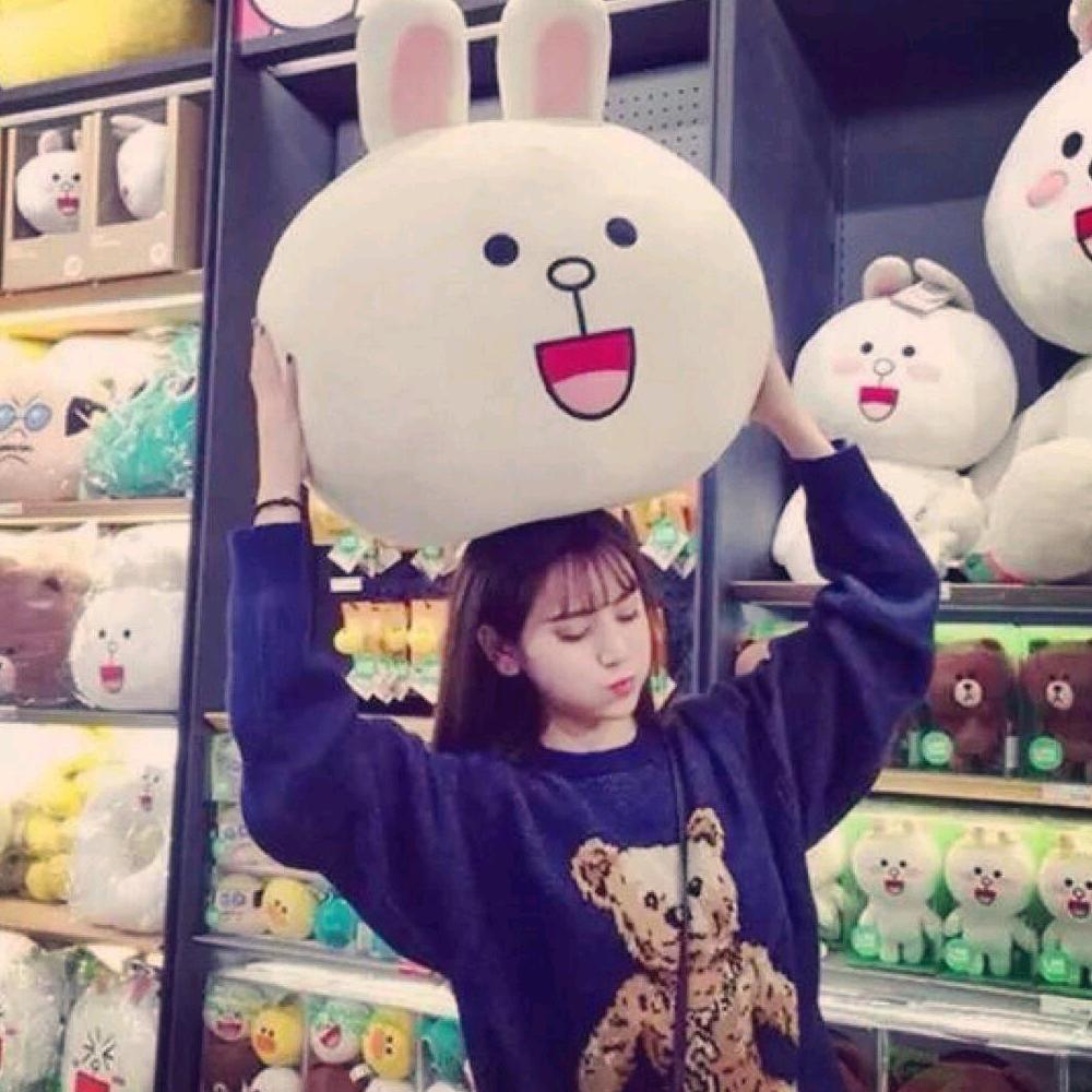 👑小仙女