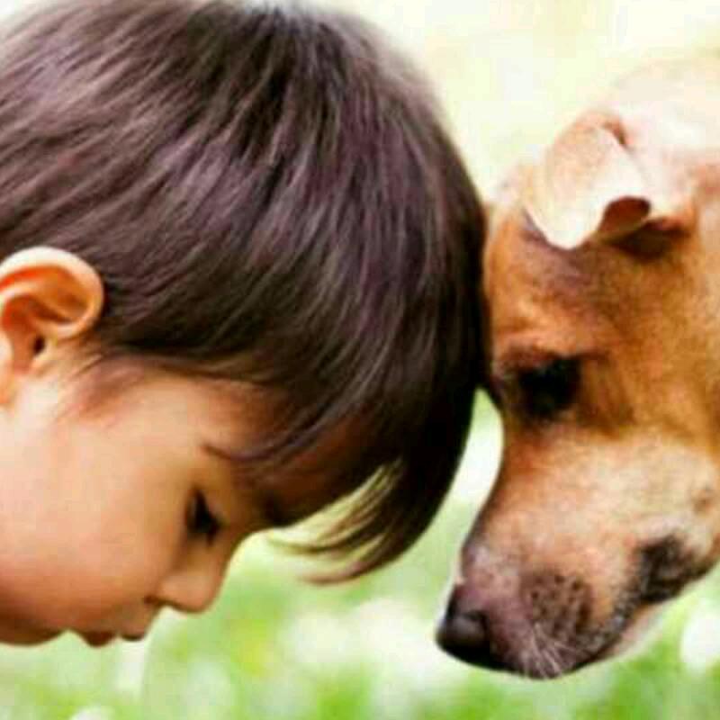 2025努力挣钱(ง •̀_•́)ง加油