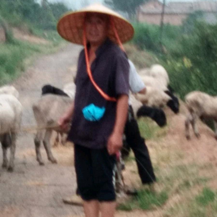 快乐的羊官