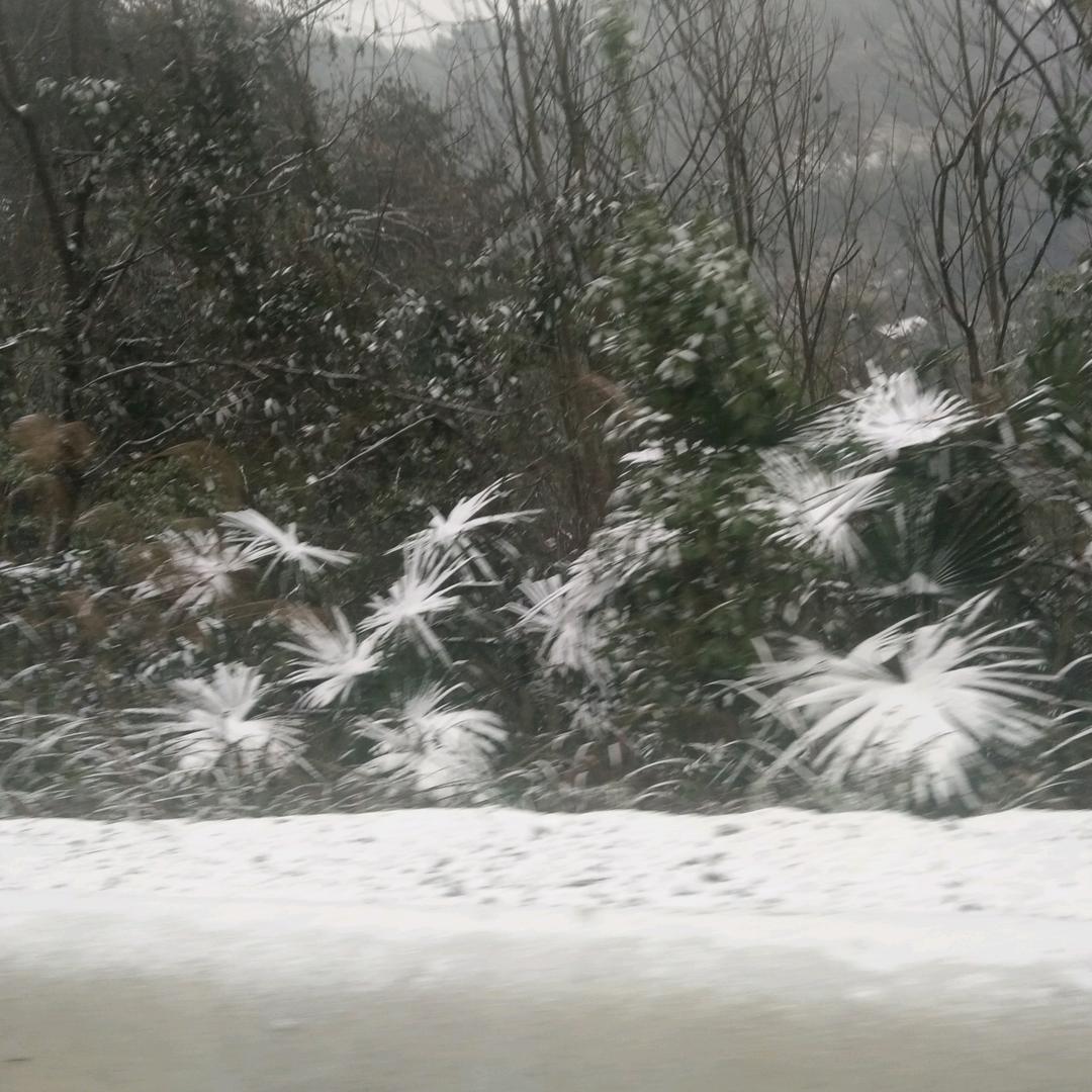 海绵宝宝