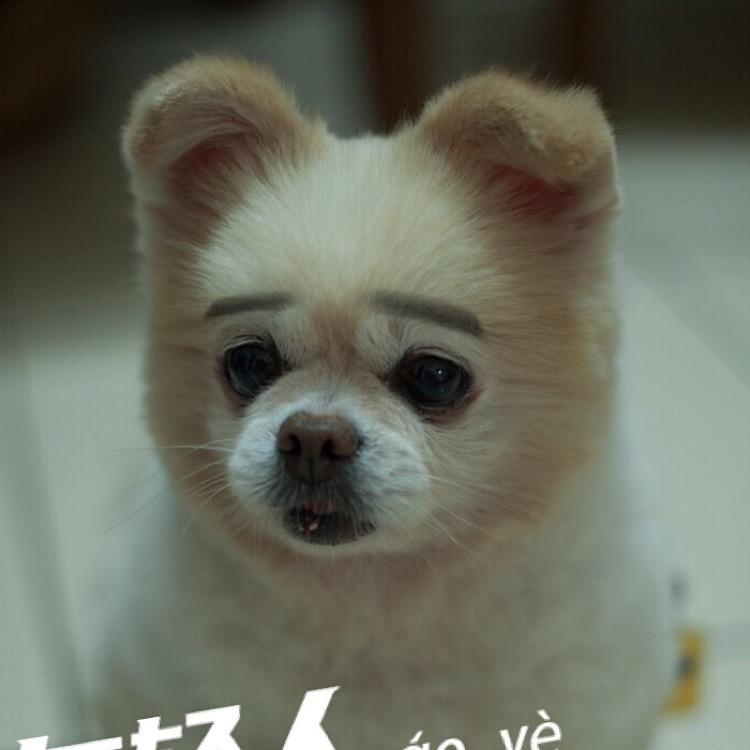 打达达的屁屁