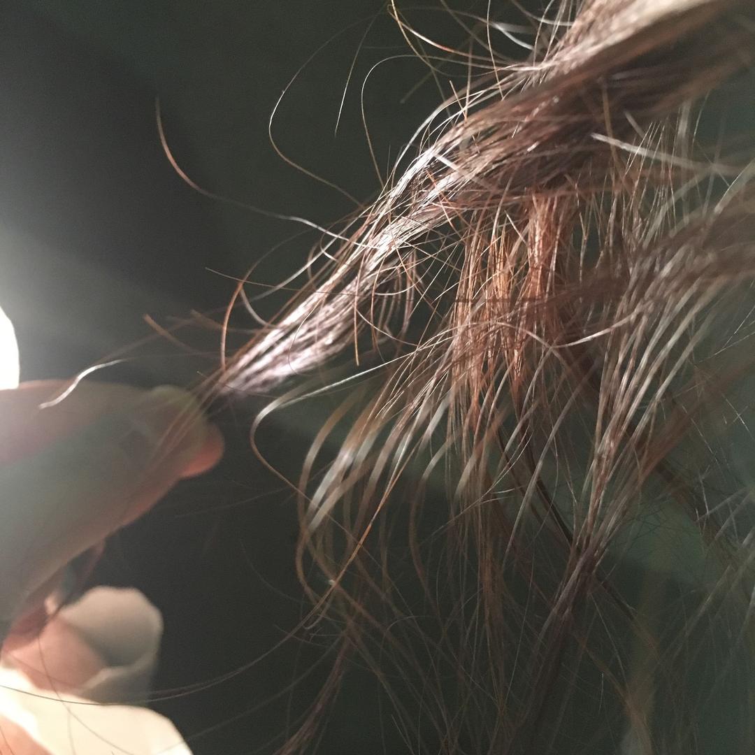 ╰っ❀ 扎扎🌸