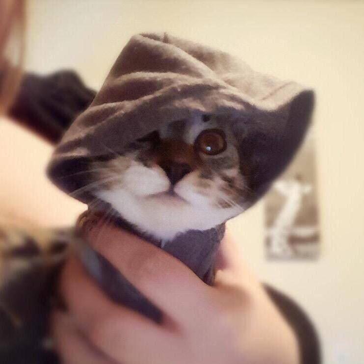 西泽