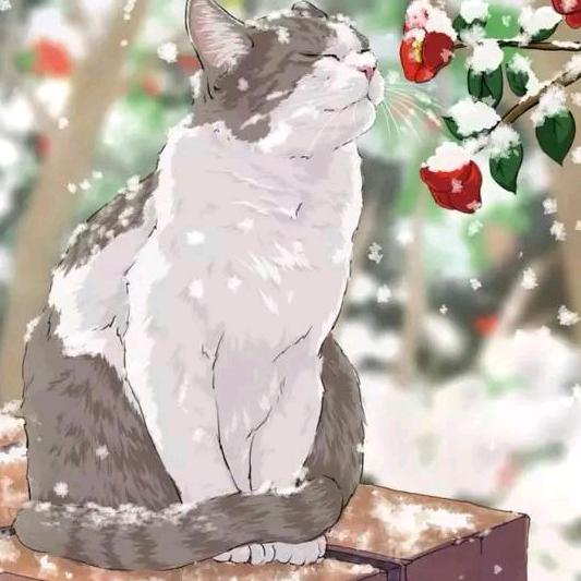 请问明天早上下🌧吗