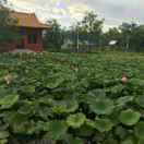 权
