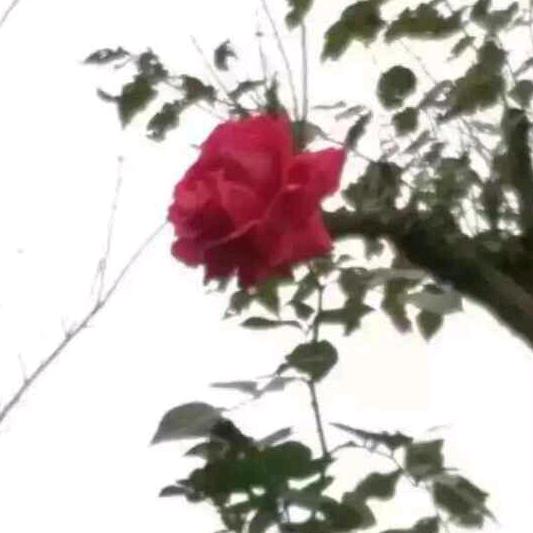 用户234137
