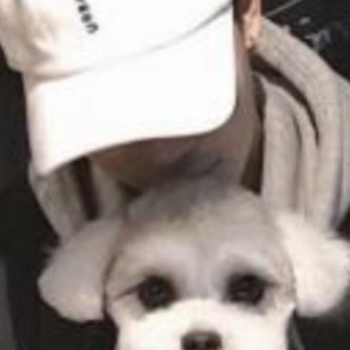 上迪高端订制游