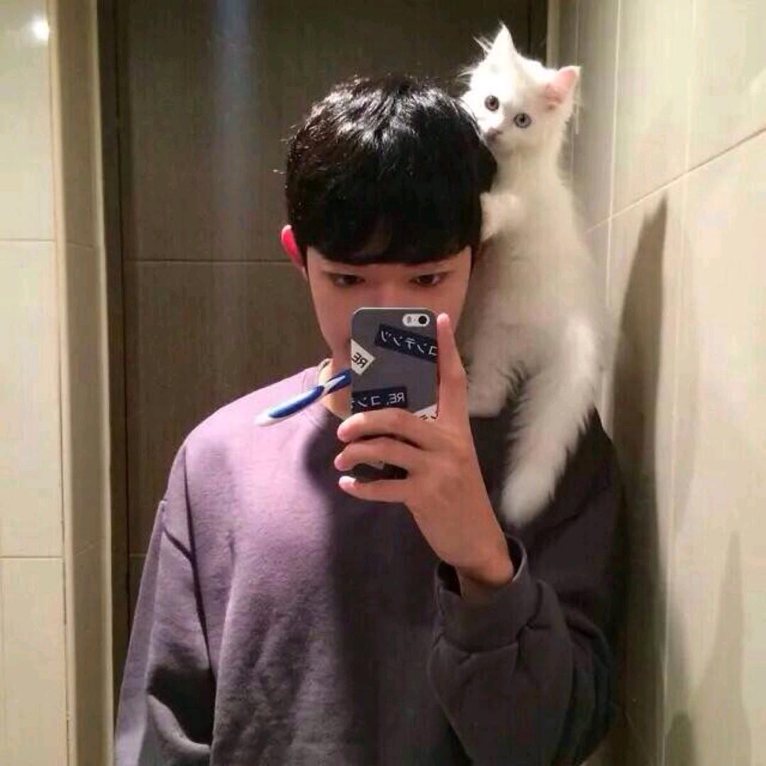 猫在怀里打盹