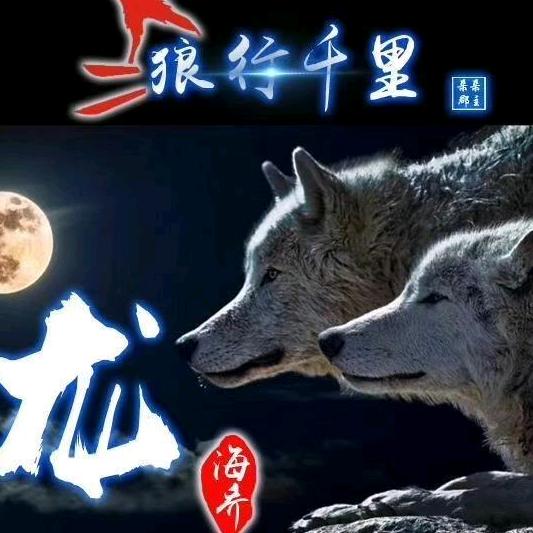 @o▬▬▬▬|▅▅▅▅▅▅▆▆▇◤