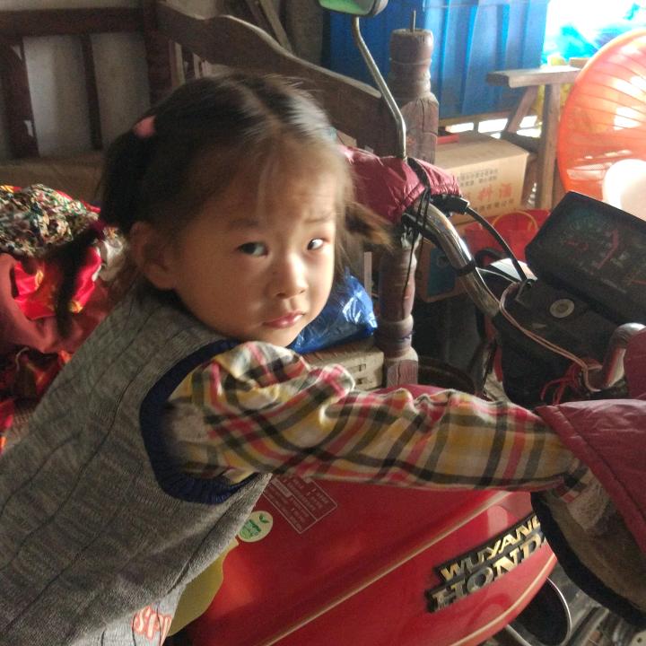 春天里