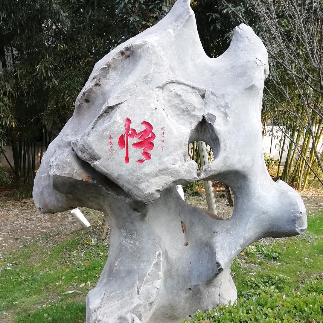 小尼