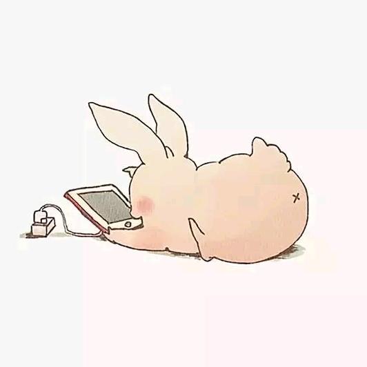晓晓