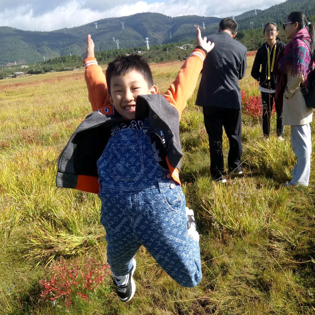 浪漫烟花小李子