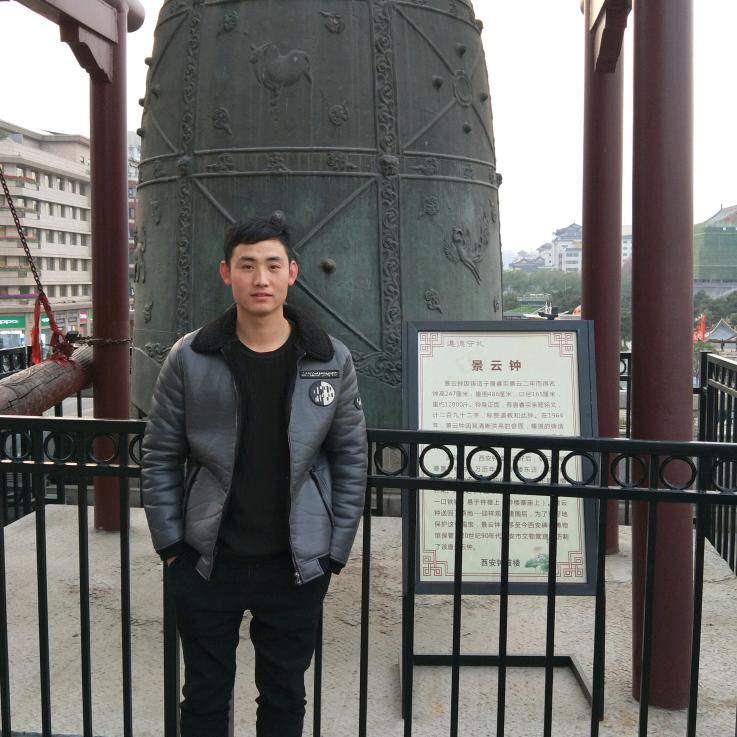 苗飛