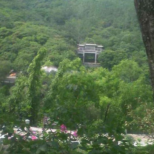 往后余生开心就好