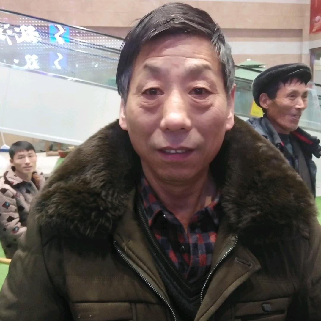 朱树
