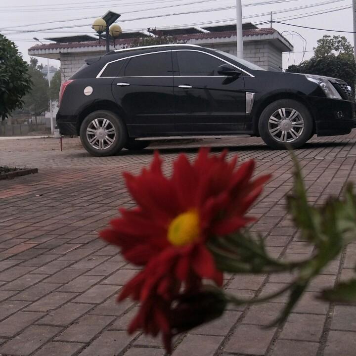 何三姐