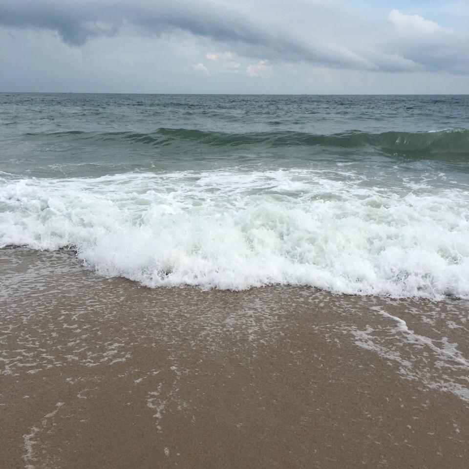 壳苦驴