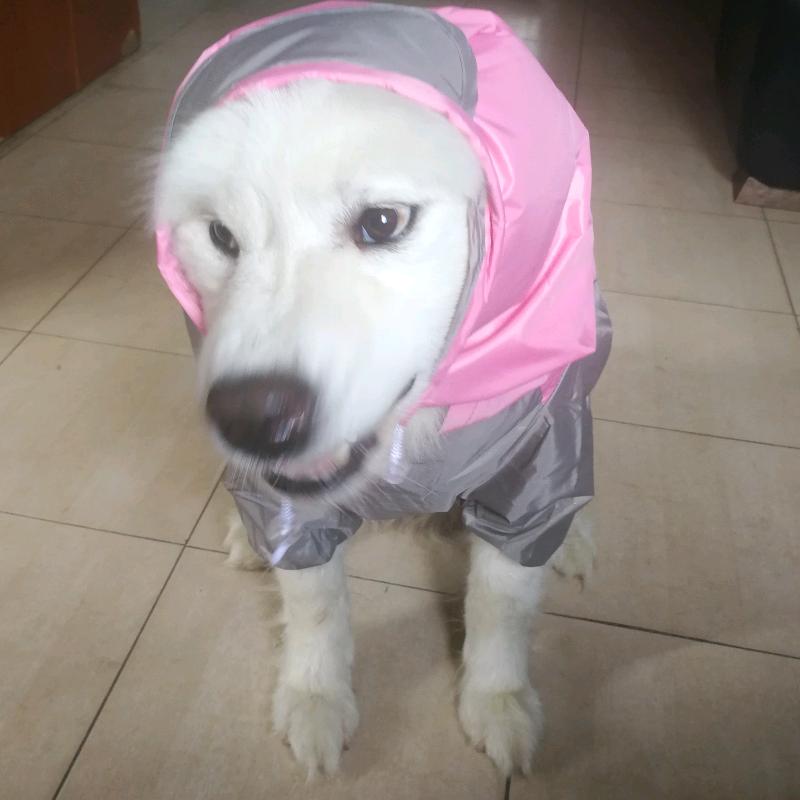 在下西瓜