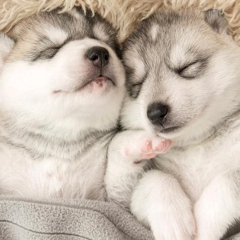 没你我过得更好