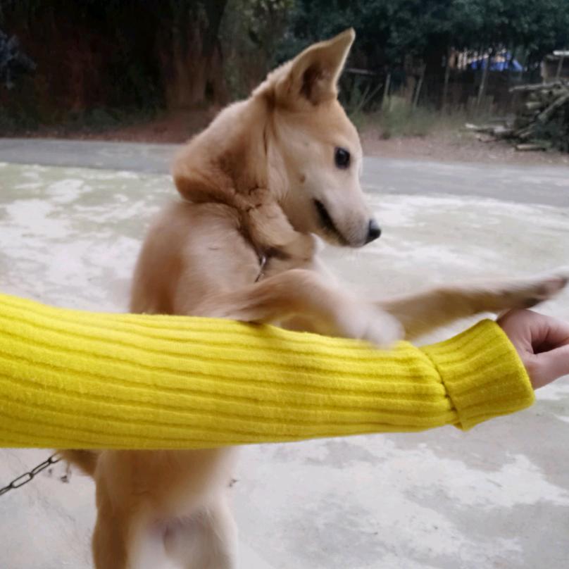 拖延症