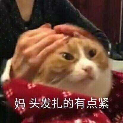香蕉菠萝水蜜桃