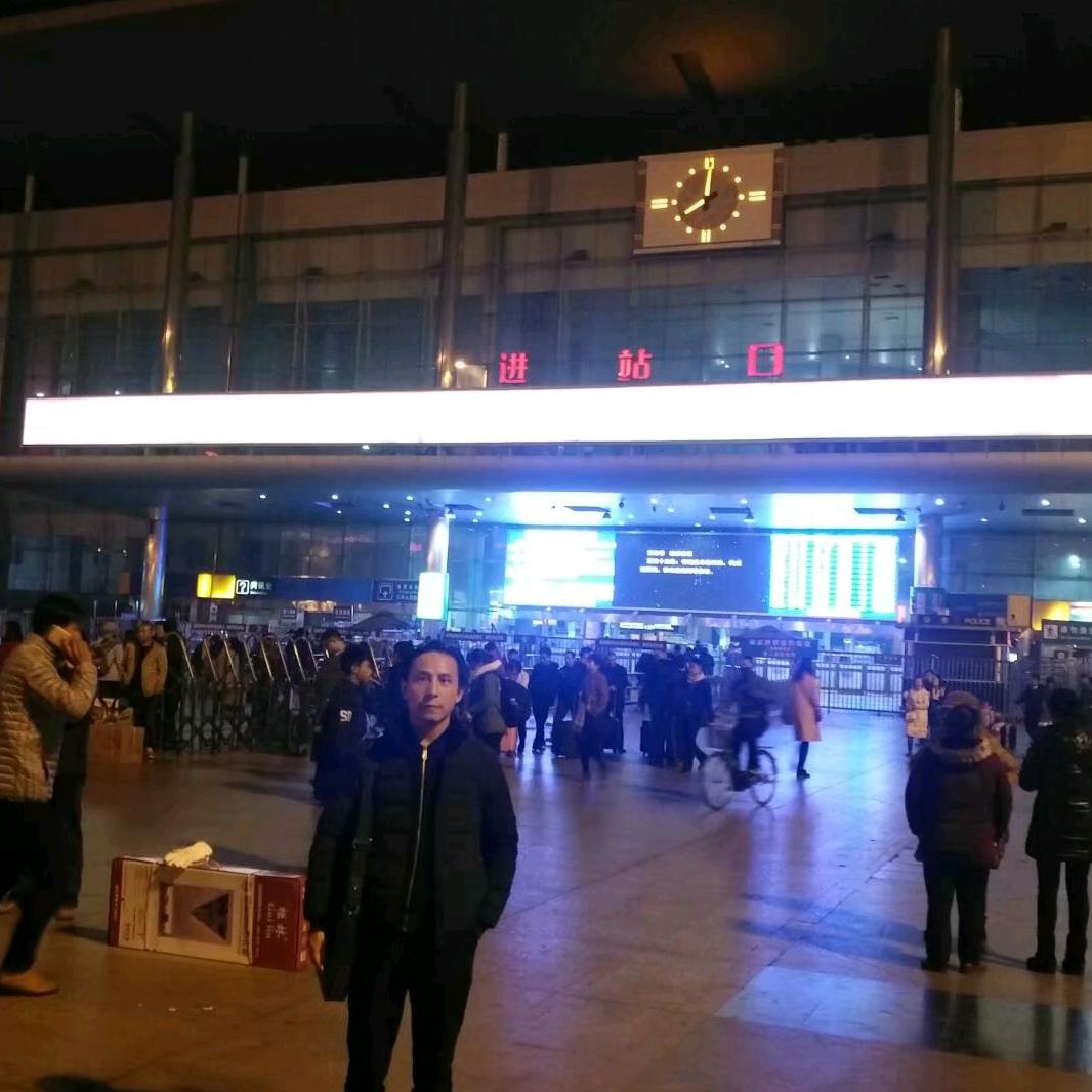 会飞的鱼