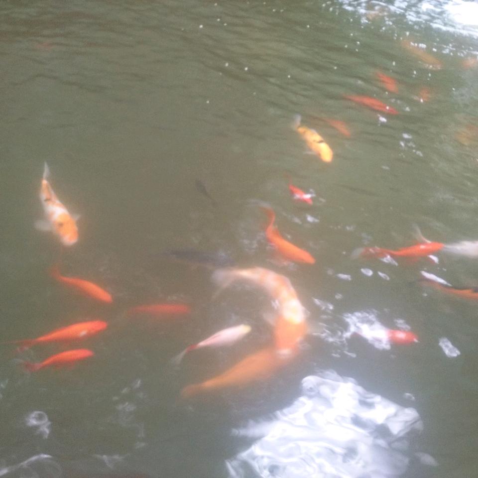 今生相伴