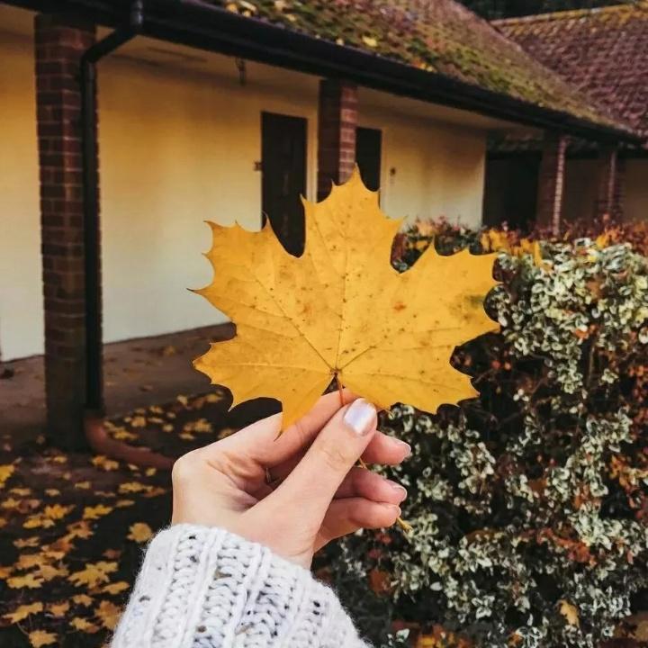 哎哟!不错哦🤓