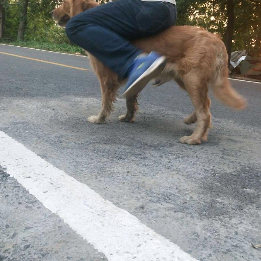 胡坤玉家庭农场