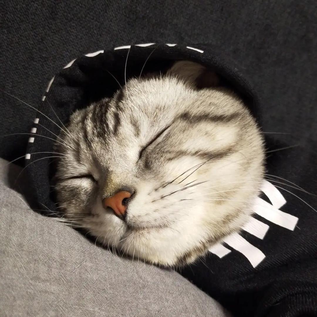 安生的爸爸@抖音