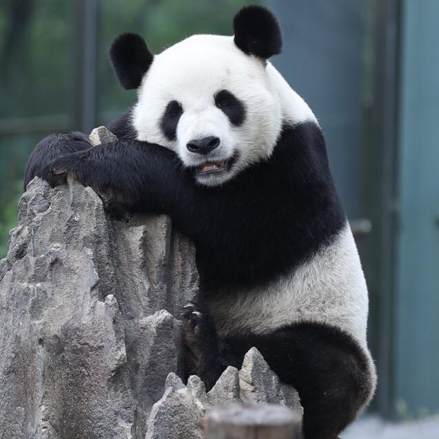 我是陈三岁