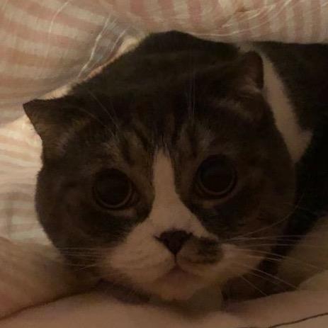 🌈呆呆的呆🌙