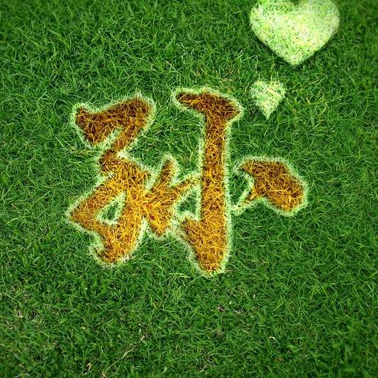 山楂合作社