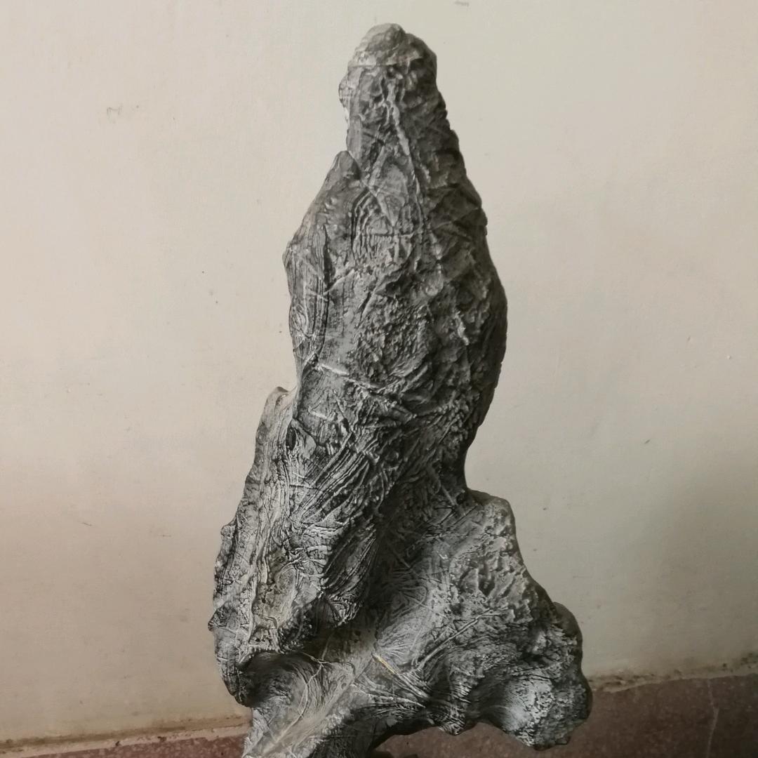 我想我是海