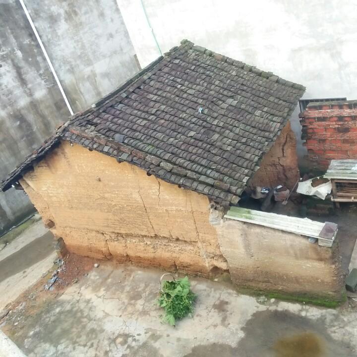 韦小子