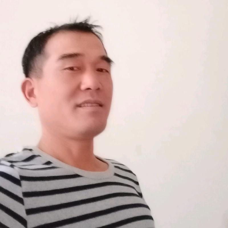 纵横四海
